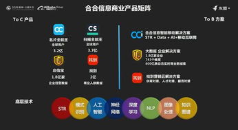 合合信息荣膺2018上海软件双百强，以人工智能驱动创新未来